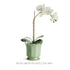 MALINE FOOTED  POT LARGE - view 5