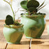 Megan Pots, Set Of 2 - View 4