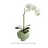 Marianna Pot - View 7