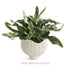 Marianna Pot - View 7