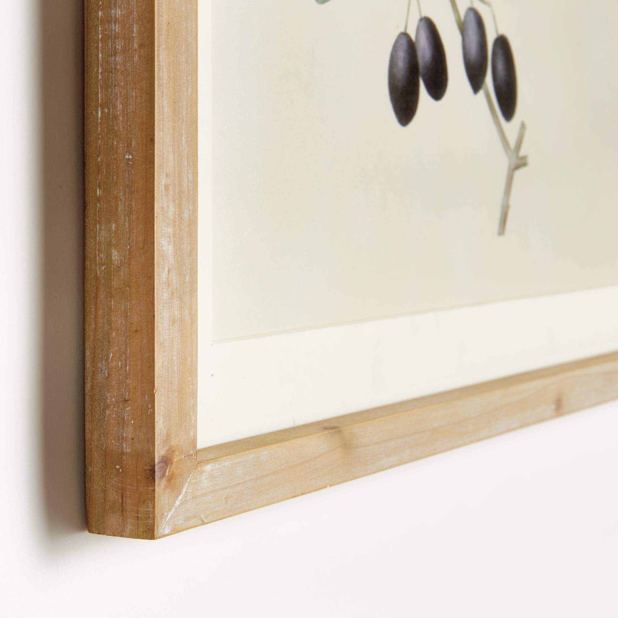 OLIVE STEMS STUDY, SET OF 4 - view 2