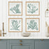 CORAL SILHOUETTES IN SOFT GREEN, SET OF 4 - view 4