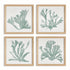 Coral Silhouettes In Soft Green, Set Of 4