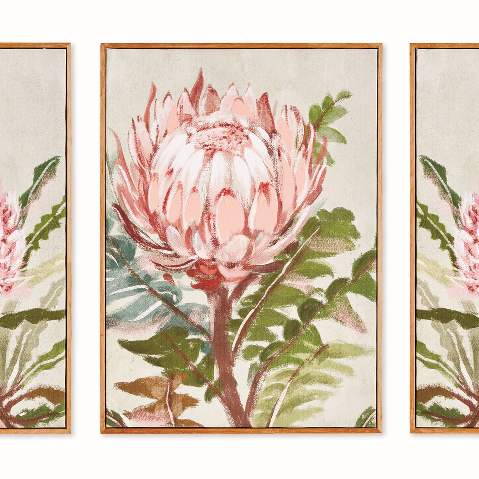 QUEEN PROTEA GICLEES, SET OF 3 - view 2