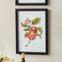 Autumnal Fruit Prints, Set Of 4 - View 5