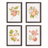 AUTUMNAL FRUIT PRINTS, SET OF 4