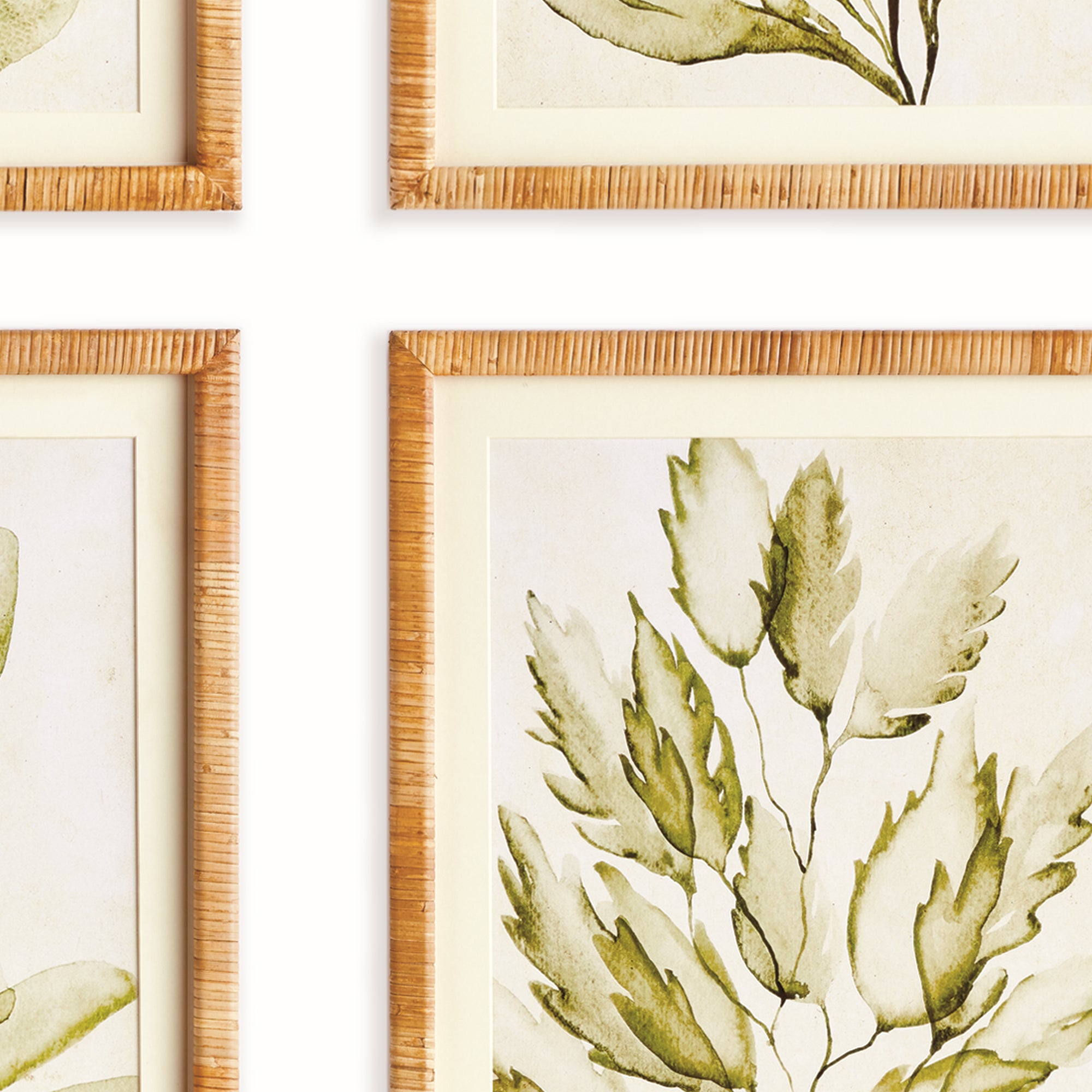 COASTAL GREENERY PRINTS, SET OF 4 - view 2