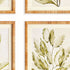 COASTAL GREENERY PRINTS, SET OF 4 - view 2