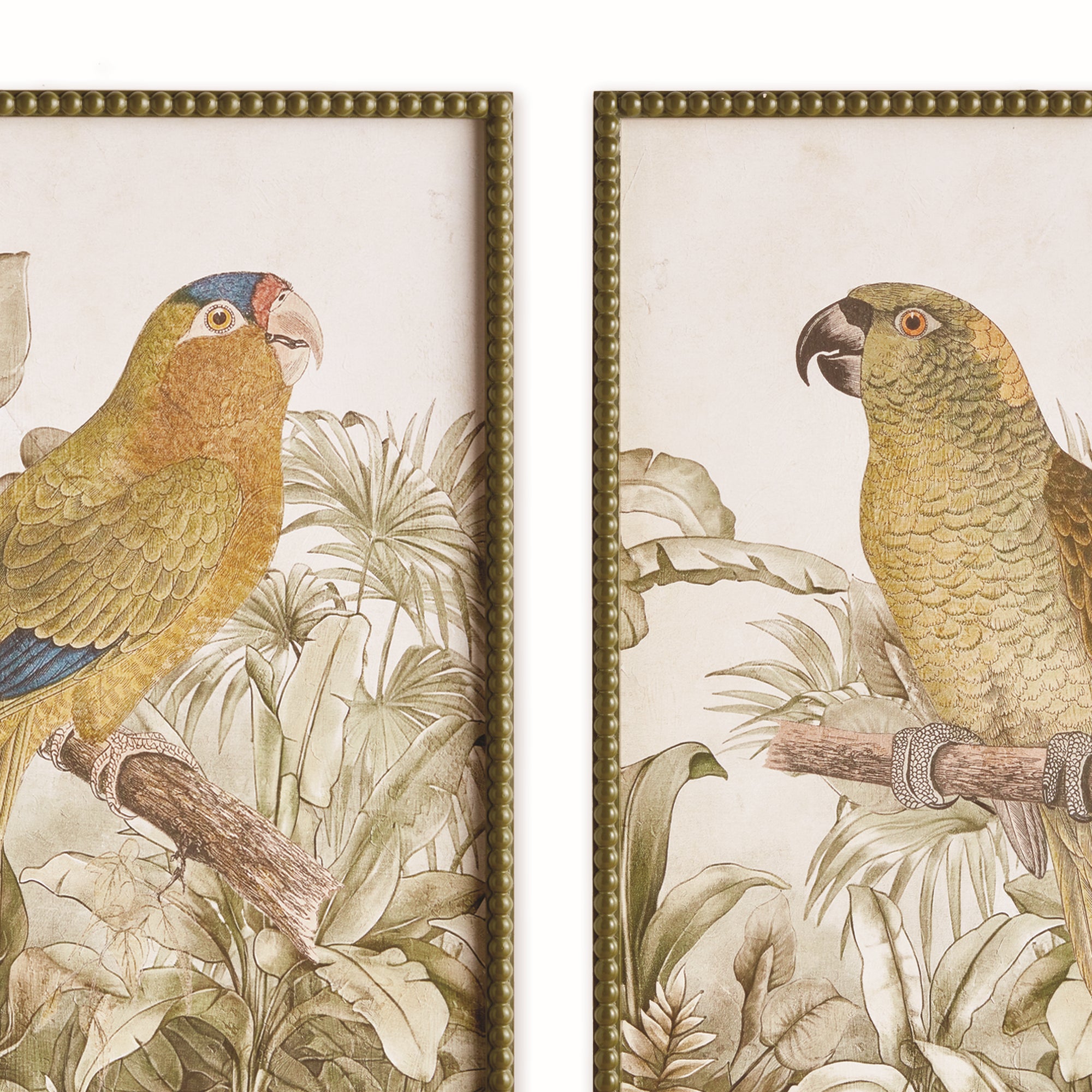 Tropical Parrot Prints, Set Of 2 - View 3