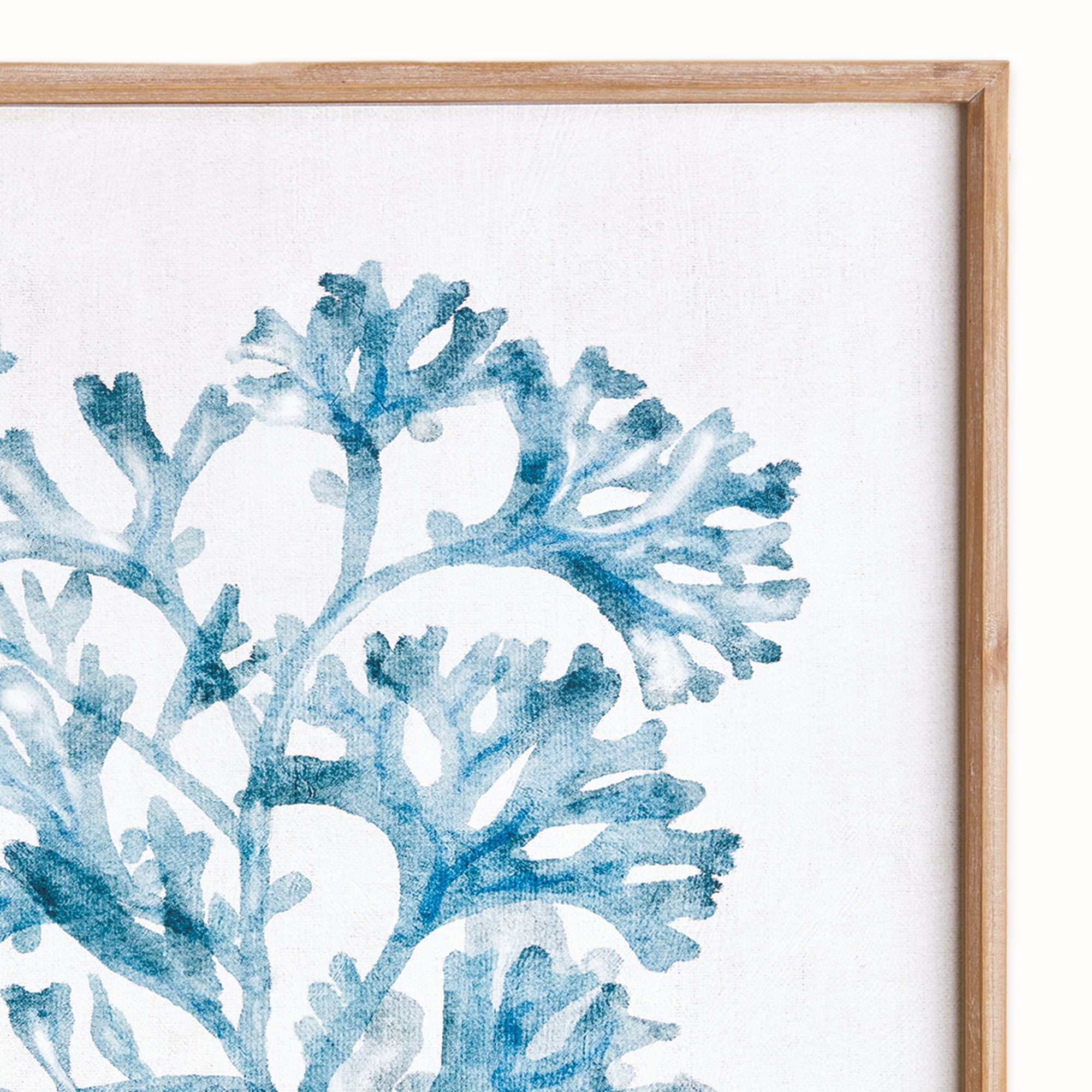 TRANSLUCENT CORAL PRINT - view 2