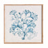 TRANSLUCENT CORAL PRINT