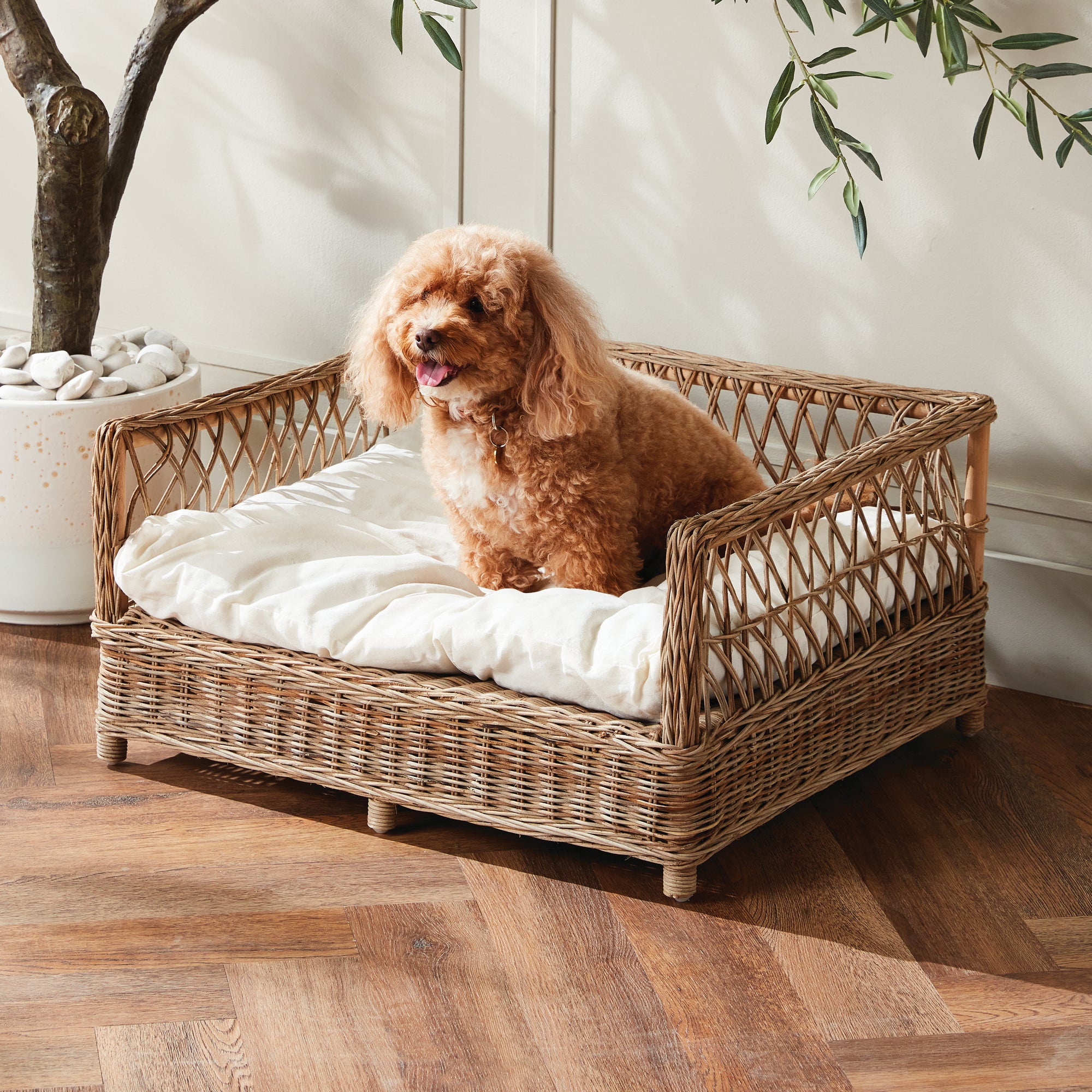 Normandy Pet Bed Large - View 4