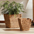 WATER HYACINTH TAPERED BASKETS, SET OF 2 - view 6