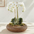Burma Rattan Shallow Display Bowls, Set Of 2 - View 5