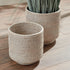 Burma Rattan Cachepots Large, Set Of 2 - View 5