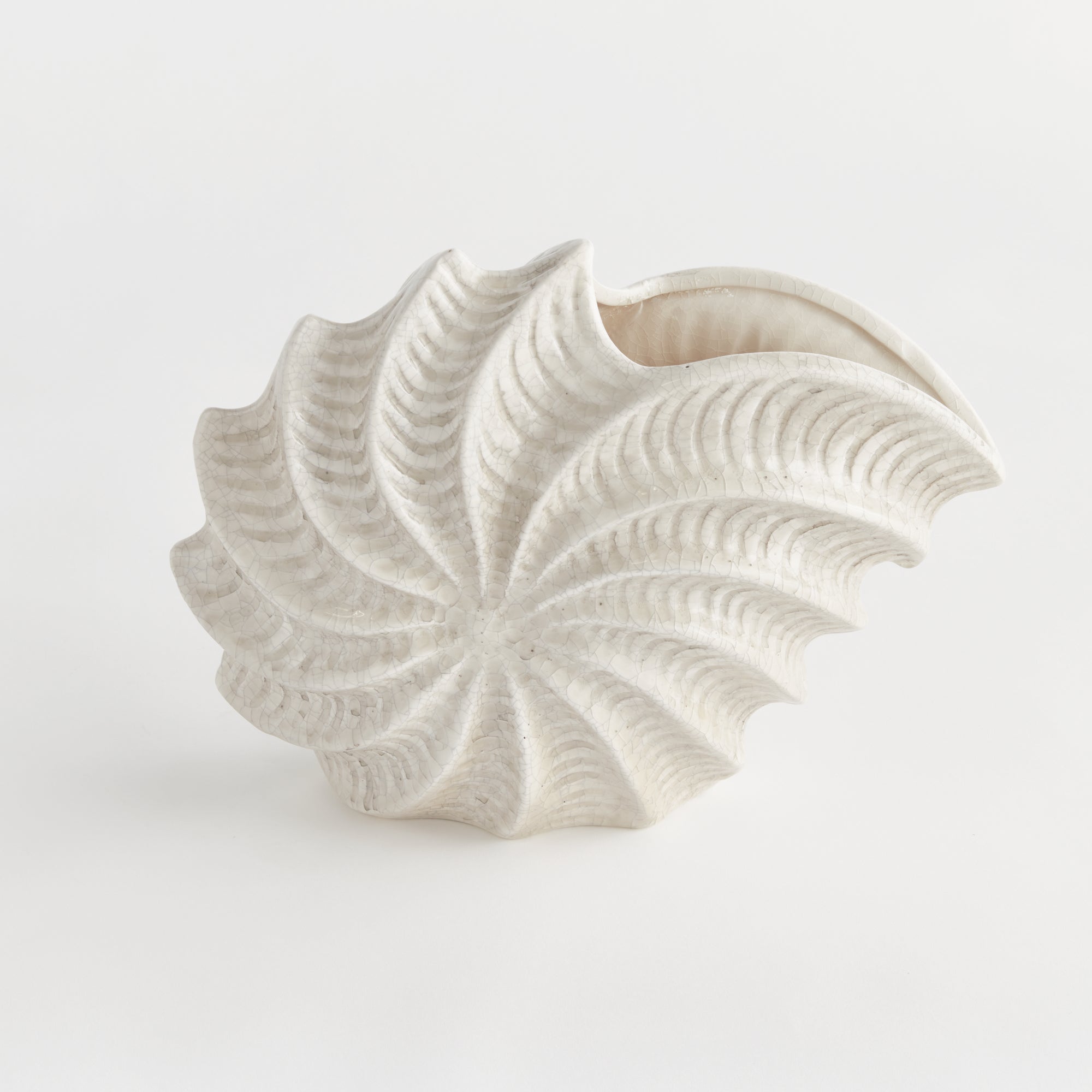 NAUTILUS SHELL VASE - view 2