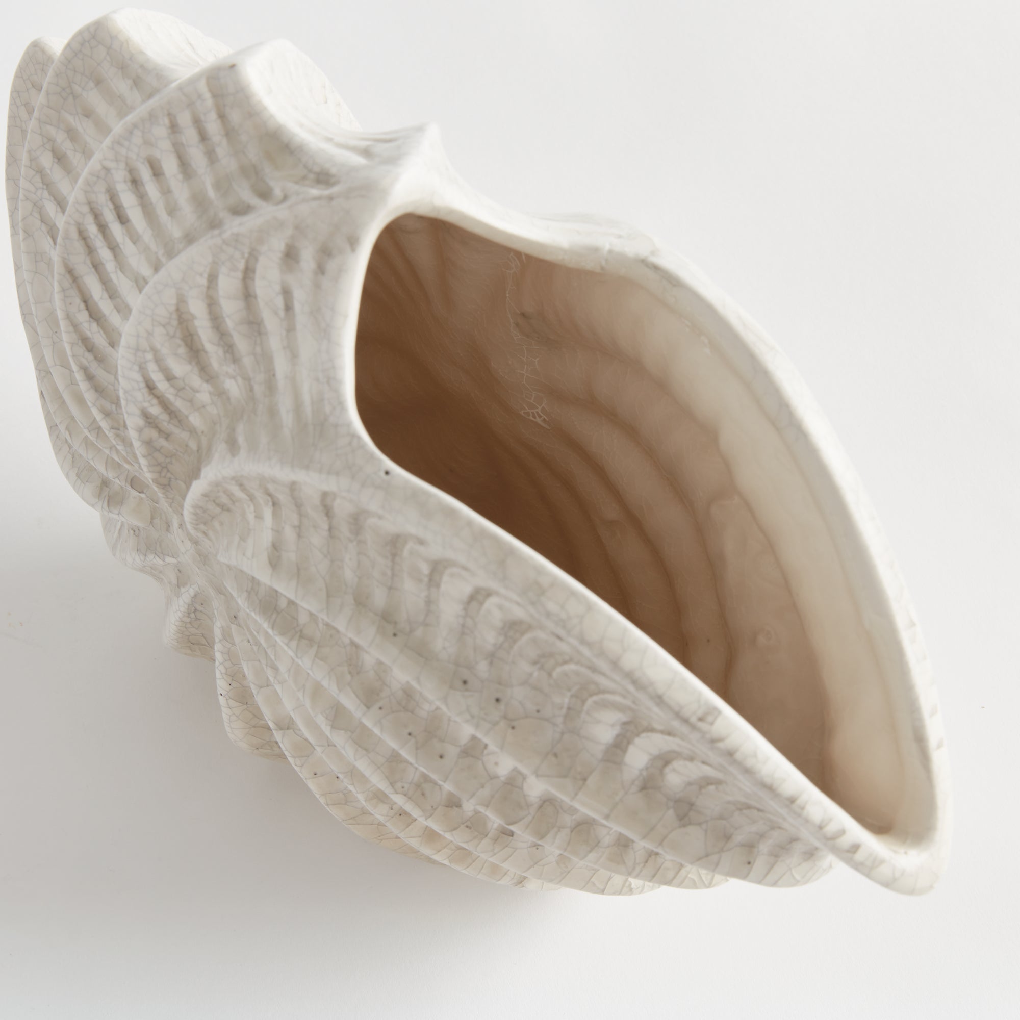 NAUTILUS SHELL VASE - view 3