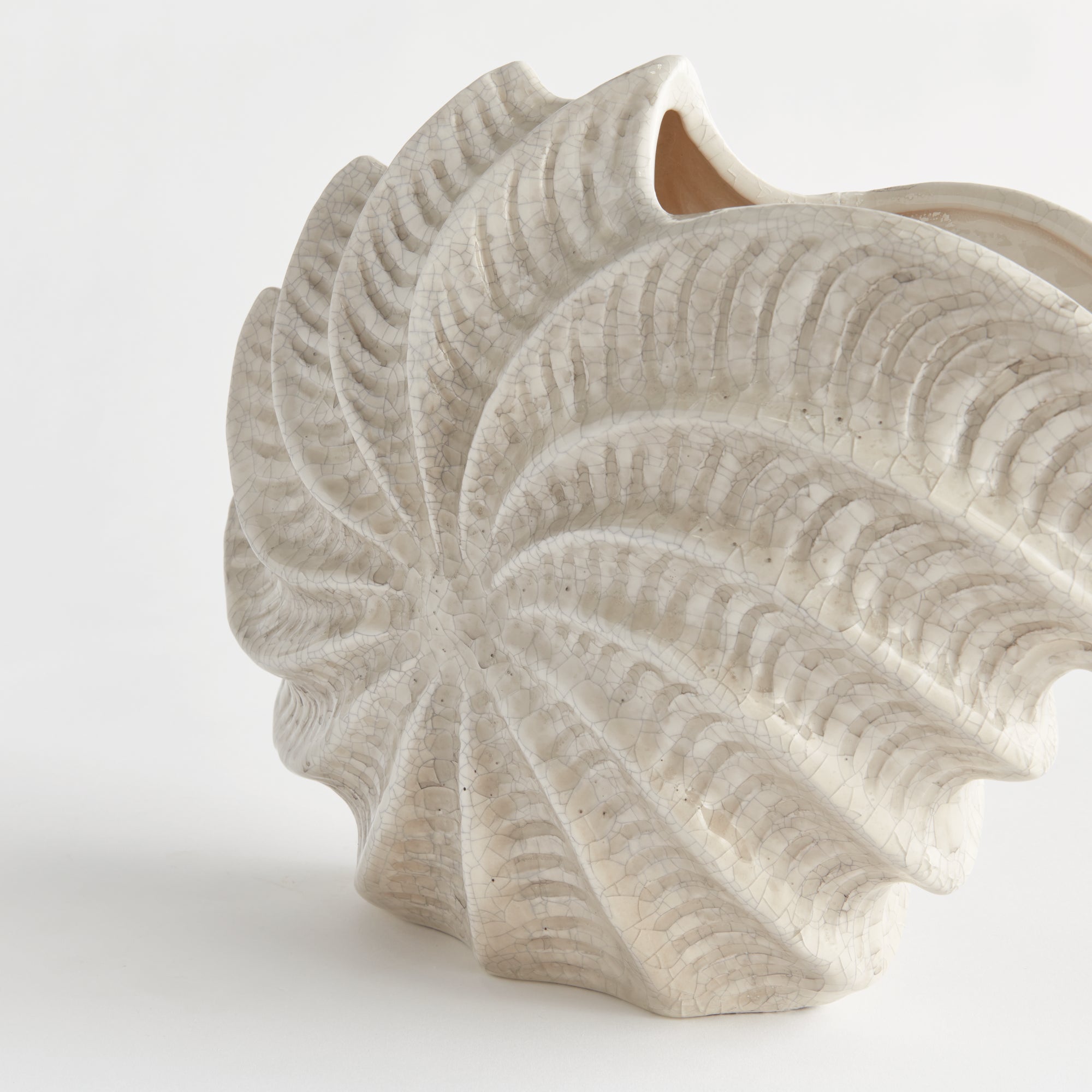 NAUTILUS SHELL VASE - view 4