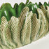 Winslow Decorative Oval Bowl - View 4