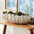 Winslow Decorative Oval Bowl - View 6