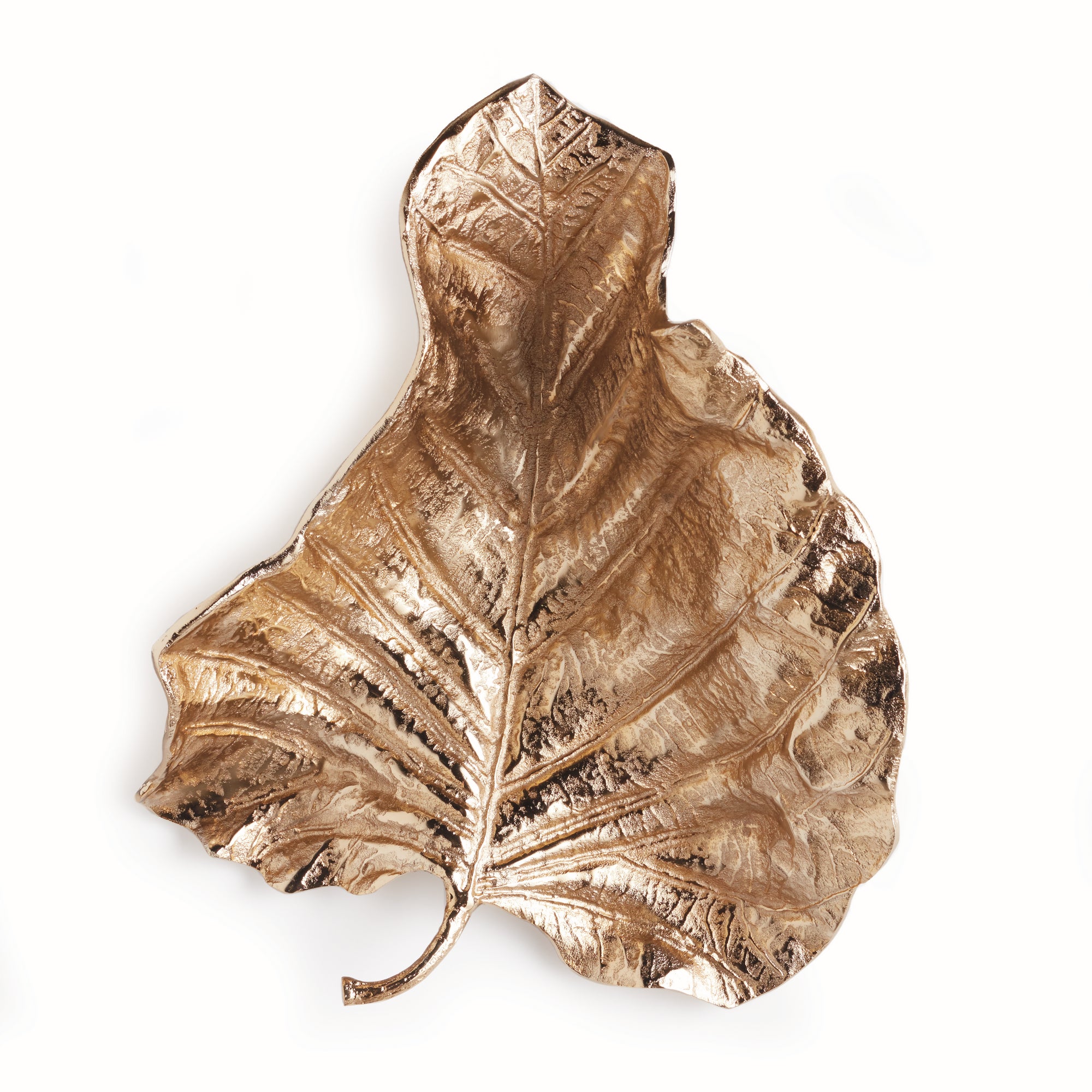 Colocasia Wall Art Large