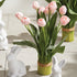 PEONY TULIP BUNDLE DROP-IN 22" - view 3