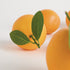 Faux Oranges 5" Assorted, Set Of 6 - View 6