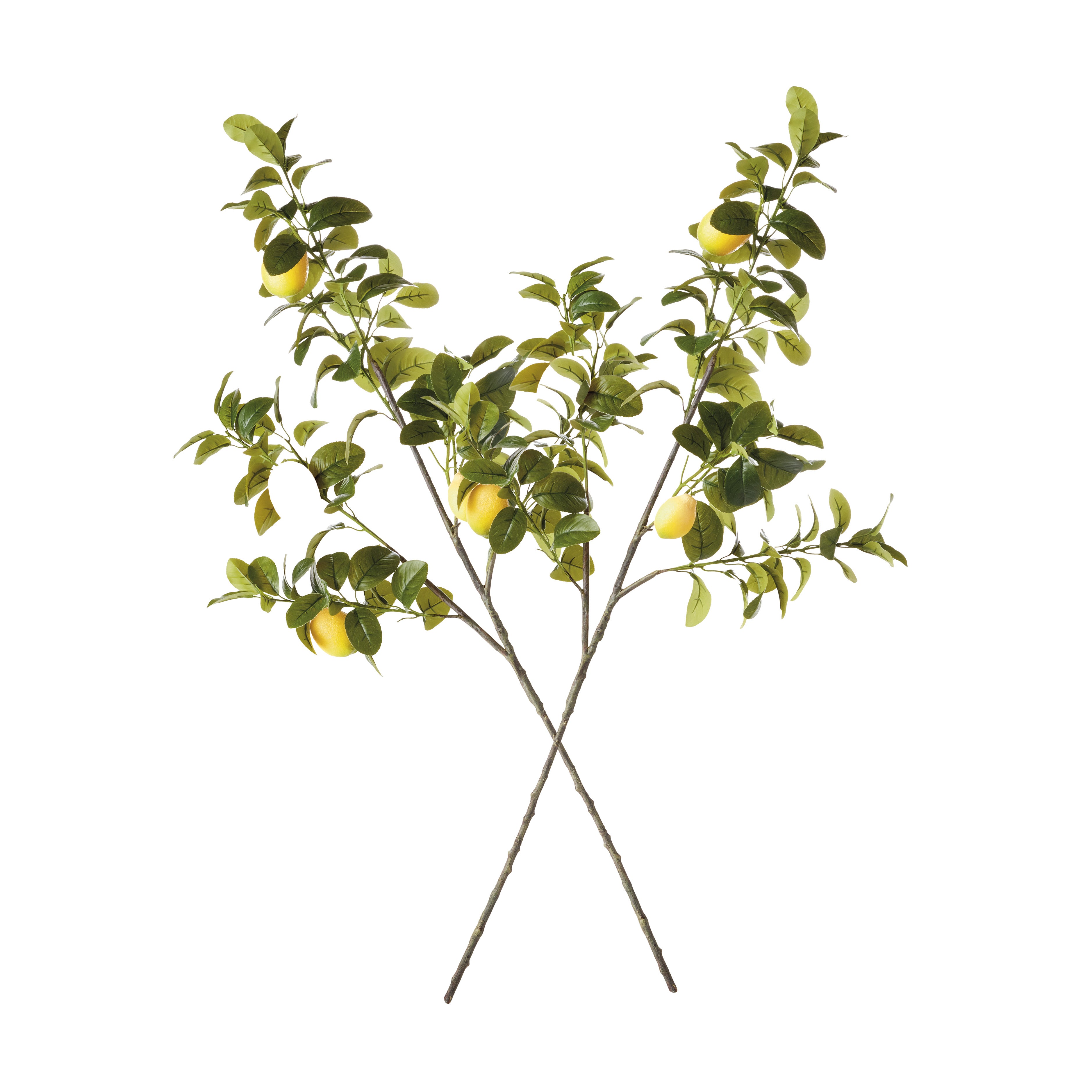 FAUX LEMON BRANCHES 43", SET OF 2 - view 4