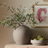 OLIVE STEMS 30", SET OF 4 - view 4