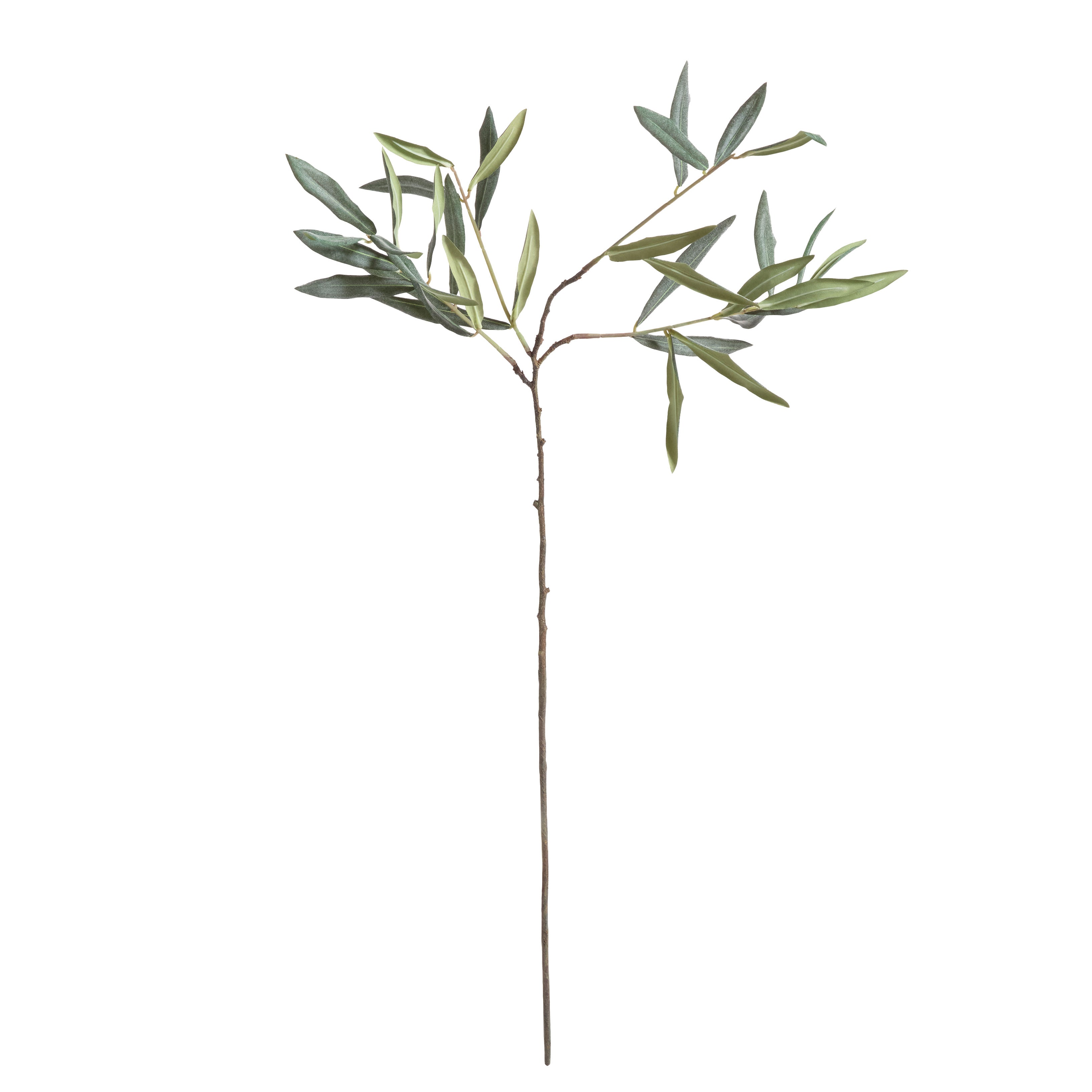Olive Stems 30", Set Of 4