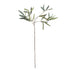 Olive Stems 30", Set Of 4