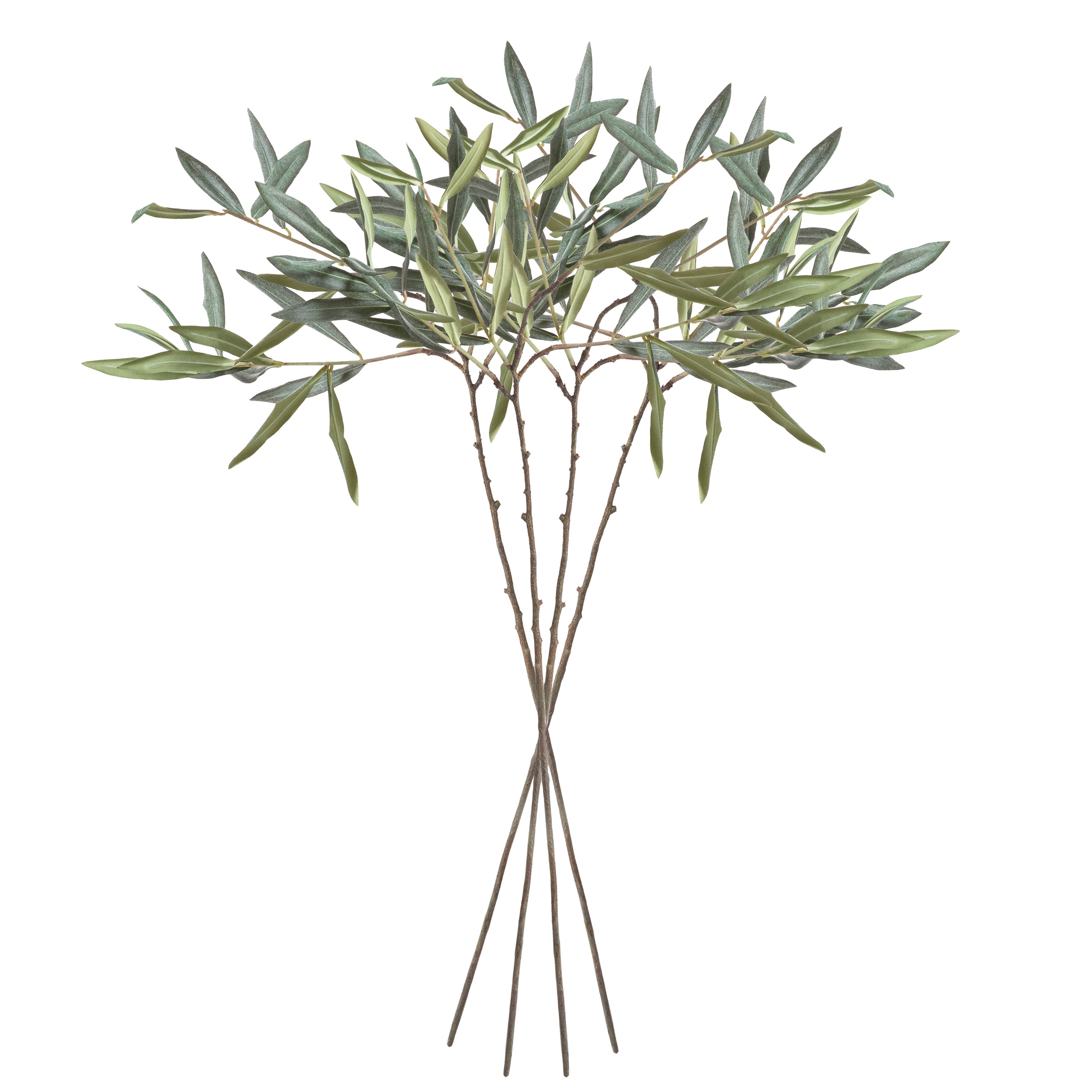 OLIVE STEMS 30", SET OF 4 - view 2