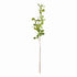 Shady Lady Black Olive Stems 28", Set Of 4