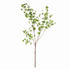 Shady Lady Black Olive Branches 56", Set Of 2