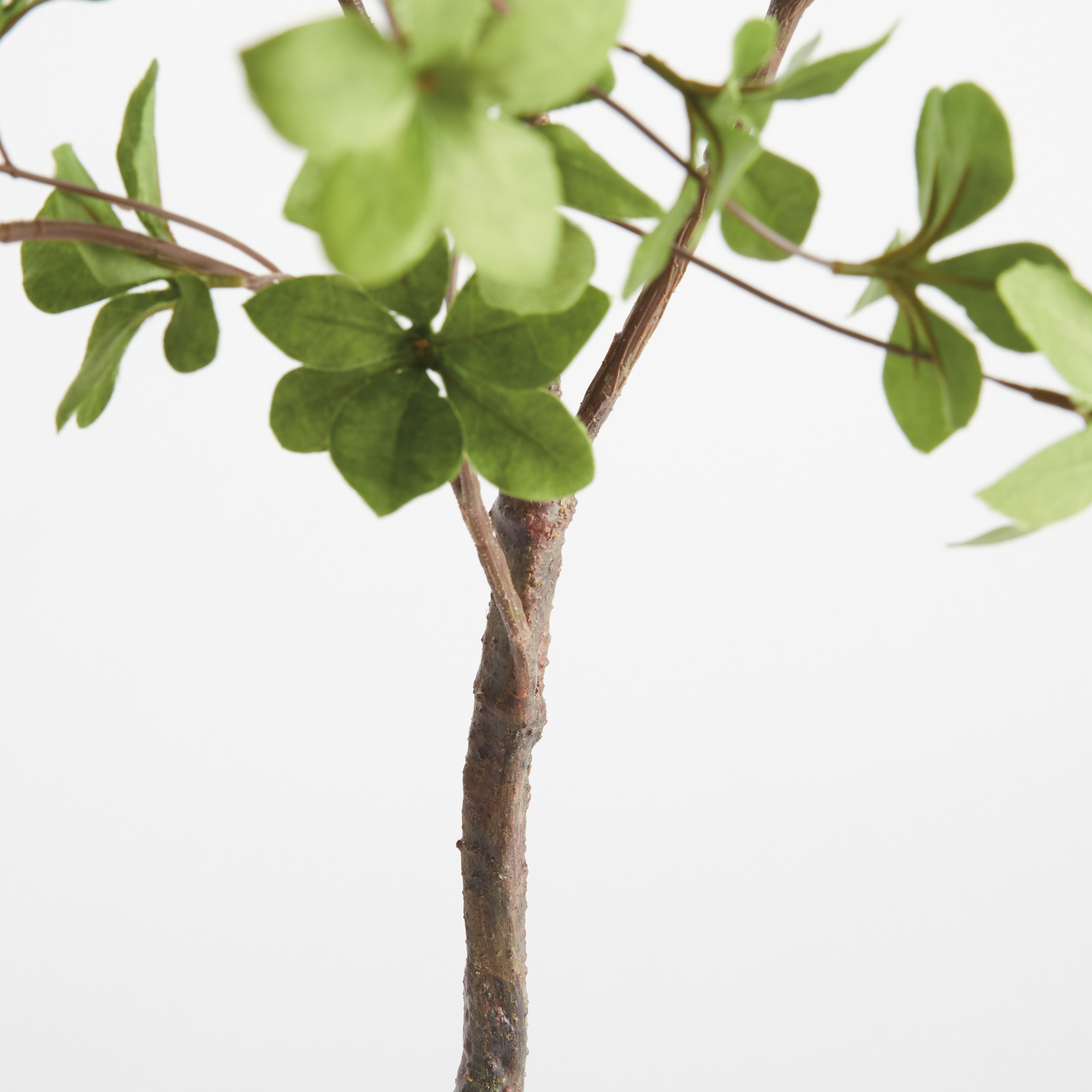 Shady Lady Black Olive Branches 56", Set Of 2 - View 4