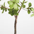 Shady Lady Black Olive Branches 56", Set Of 2 - View 4