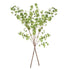 Shady Lady Black Olive Branches 56", Set Of 2 - View 5