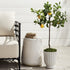Faux Lemon Tree Drop-In 37" - View 3