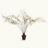MAIDENHAIR DROP-IN 44"