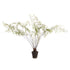 Maidenhair Drop-In 44"