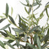 Olive Tree Drop-In 17.5" - View 3