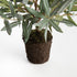 Olive Tree Drop-In 17.5" - View 4