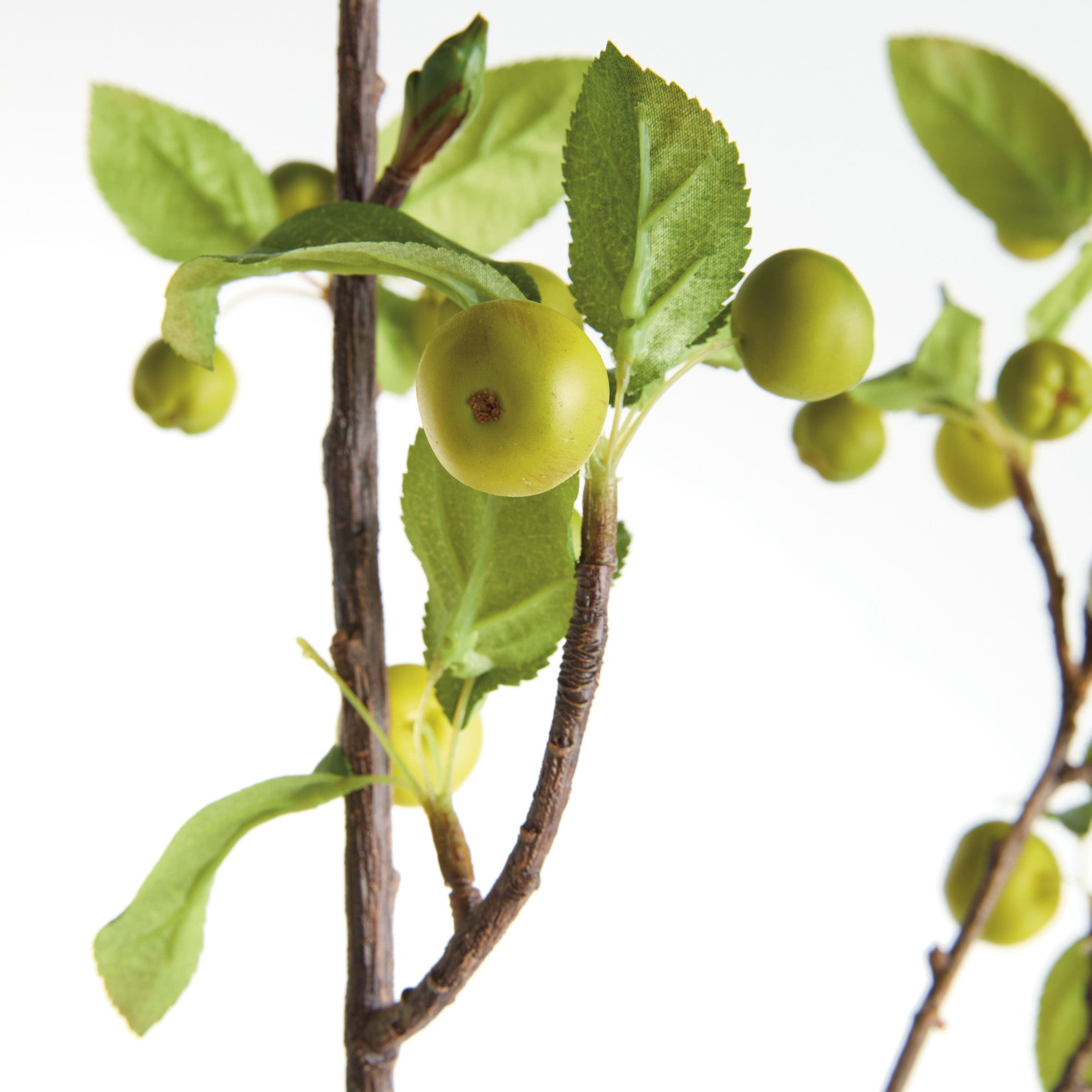 Crabapple Branches 45" St/2 - View 3