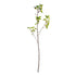 Crabapple Branches 45" St/2