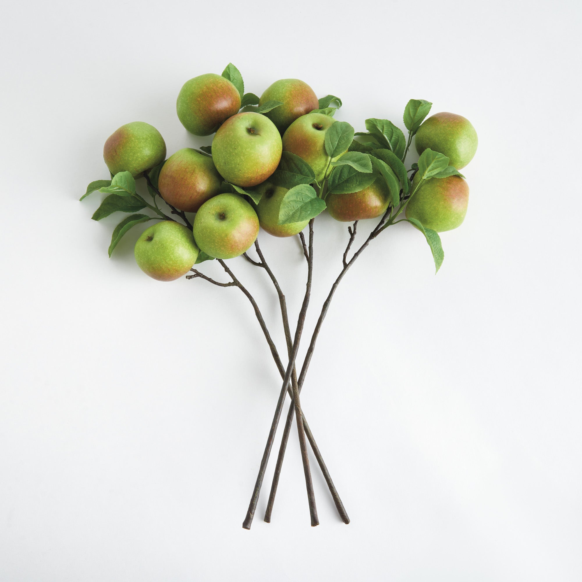 Apple Branches 20" St/4 - View 2