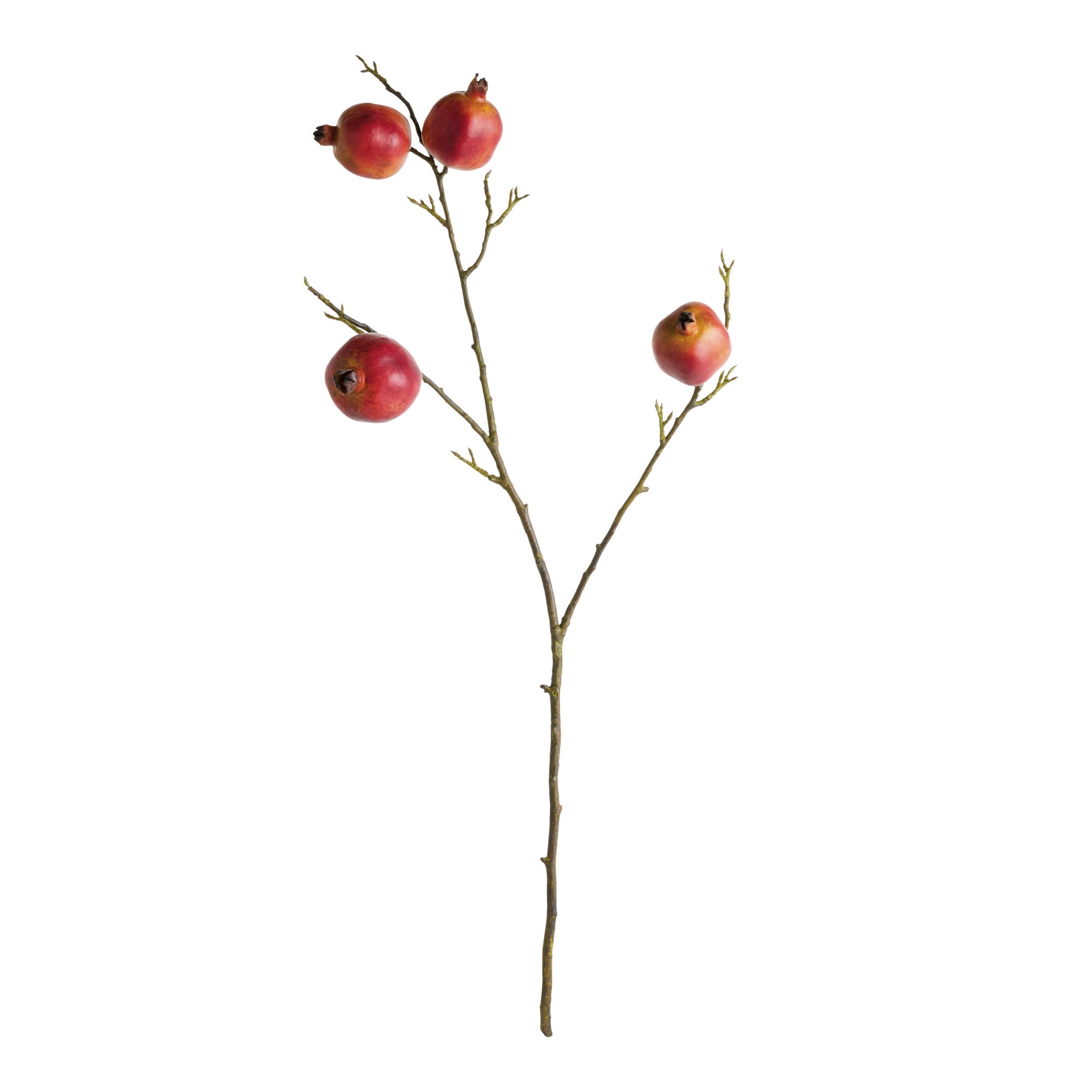 Pomegranate Branches 36" St/4