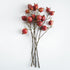 Pomegranate Branches 36" St/4 - View 2