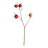 Pomegranate Branches 36" St/4