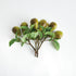 Pear Picks 9.5" St/4 - View 4