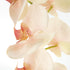 Phalaenopsis Orchid Stems 28" St/4 - View 3